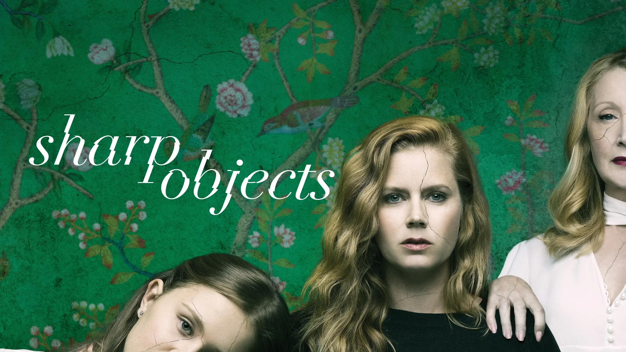 شخصيات Sharp Objects أمام خلفية خضراء مزخرفة تتخللها شقوق.